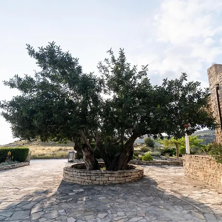 Carob Villa