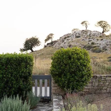 Carob Villa