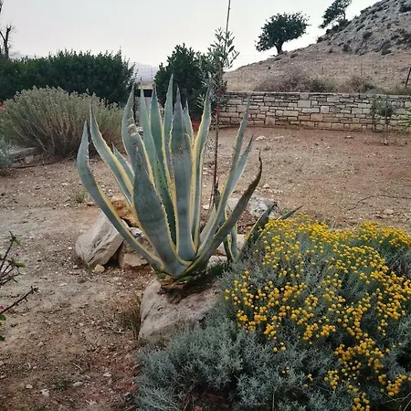 Carob Μοίρες